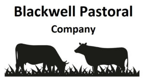 Cattle silhouette graphic design template vector